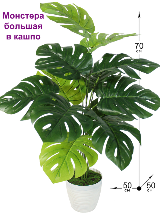 Искусственная Монстера большая 70см в кашпо