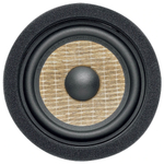 Focal IS MBZ100 V2