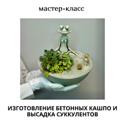 🪨 Мастер-класс «Бетонное кашпо с суккулентами» — дизайн с нуля