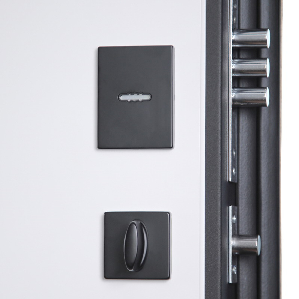 Стальная дверь «Конструктор» (биометрический замок Smart lock Y12)