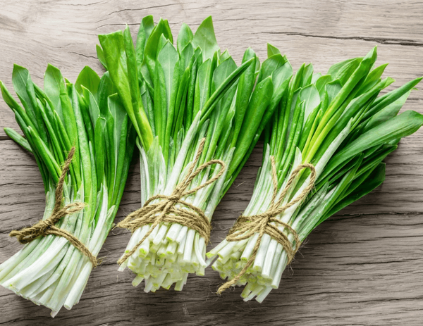 Черемша – польза при диабете. Рецепты.