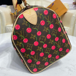 Louis Vuitton Speedy 25