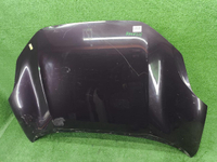 Капот Zeekr 001 (2021-н.в.)