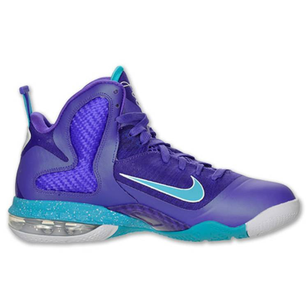 Lebron summit lake hornets best sale