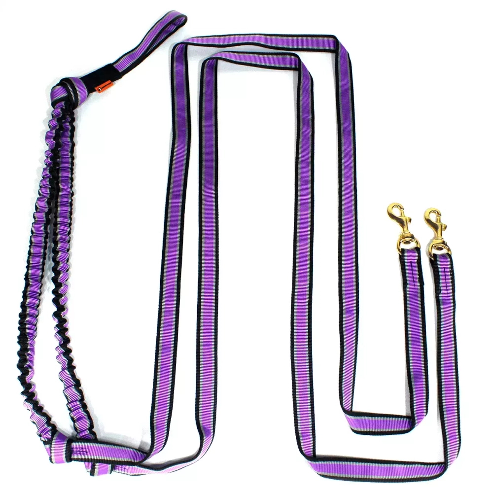 потяг на 2 собаки 2.5 метра фиолетовый