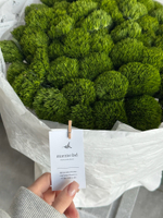 Моно букет из диантусов сорта Грин трик 51 шт