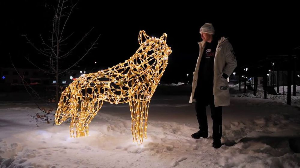 Светодиодная фигура "Волк"