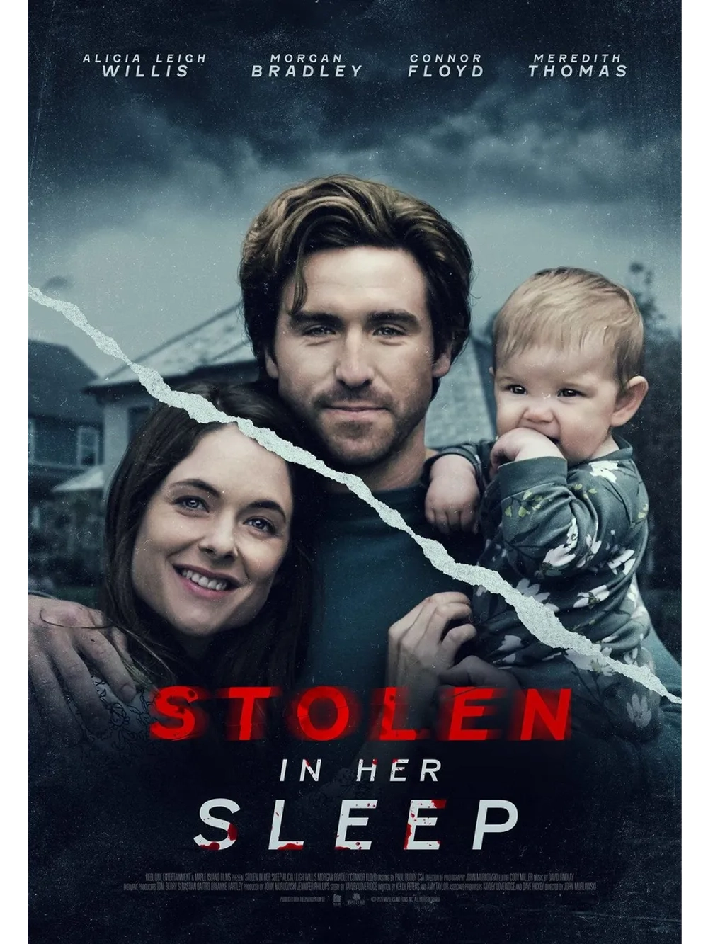 Украденная во сне (2022) (DVD-R)