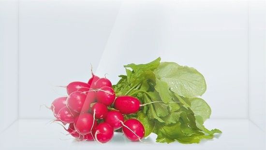 Холодильник Bosch KSV 36VL20R