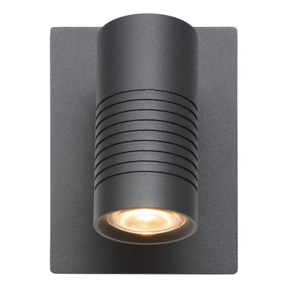 Уличный настенный светодиодный светильник Lucide Bran 27817/07/29