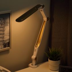 Настольный светильник ЭРА NLED-496-12W-G светодиодный на струбцине золото