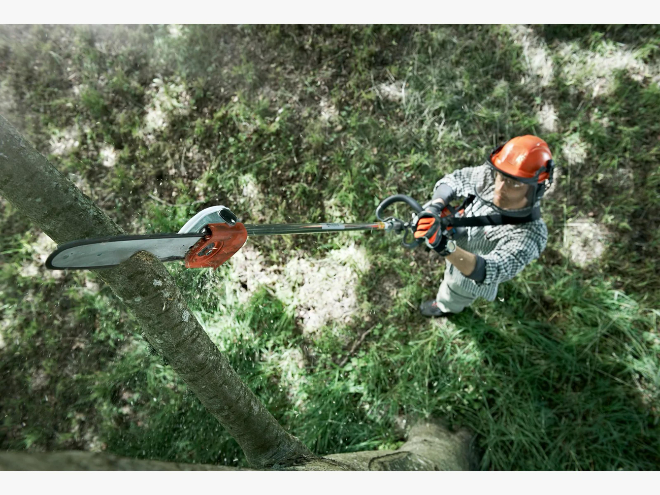 Как обрезать высокие деревья безопасно: пошаговая инструкция и советы профессионалов