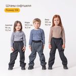 Брюки Softshell демисезонные "Графит"