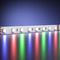 Светодиодная лента 8W/m 80LED/m 3838SMD RGB/RGBW 5M 201130