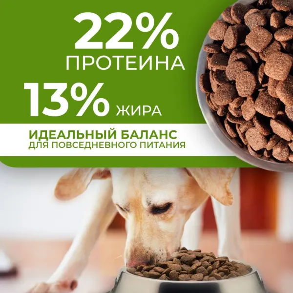 Уценка! Повр.упак. / Сухой корм Дилли для взрослых собак 
