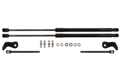 Упоры капота для FORD Focus, 2004-2008, к-т 2 шт , ARBORI.HD.012103