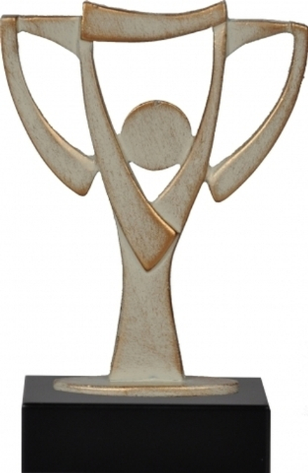 Награда YOUR CUP