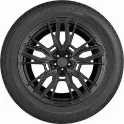 Gripmax Stature M/S 235/55 R19 105V XL