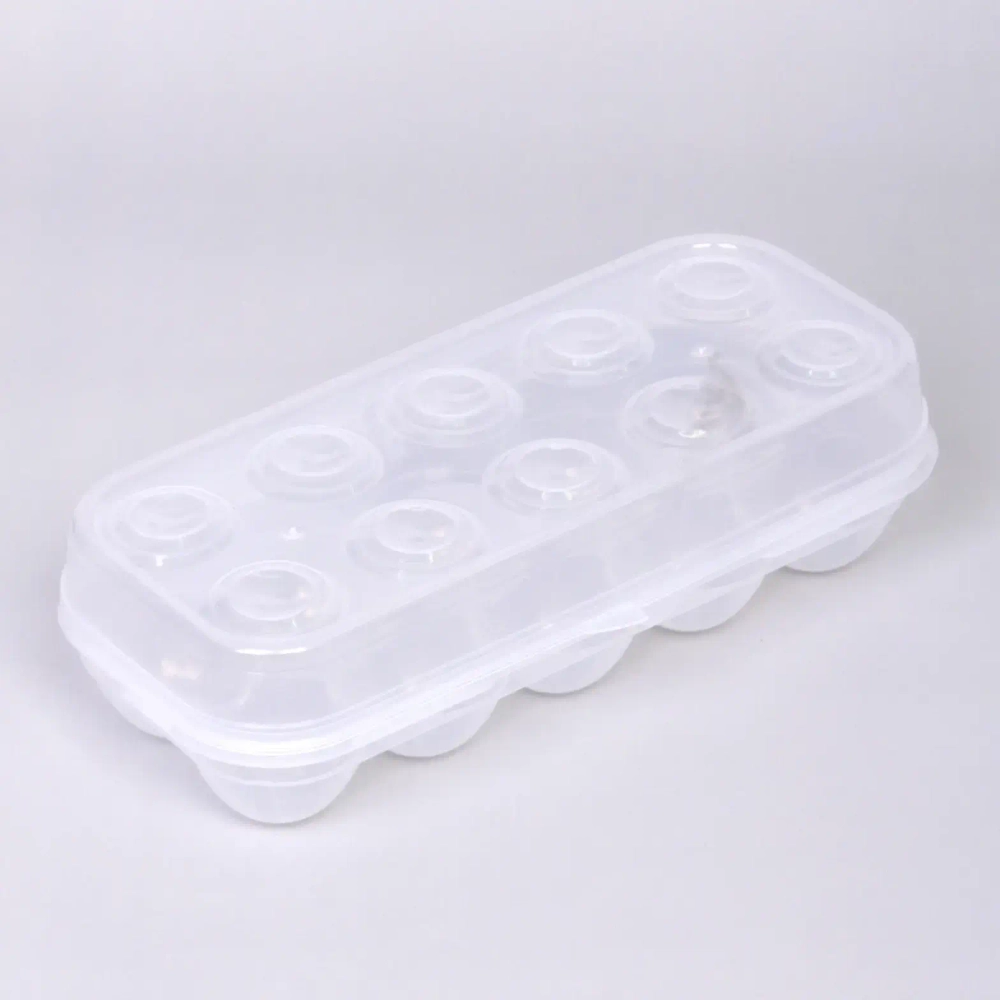 Контейнер для хранения яиц 10 шт с крышкой 25*11*7см