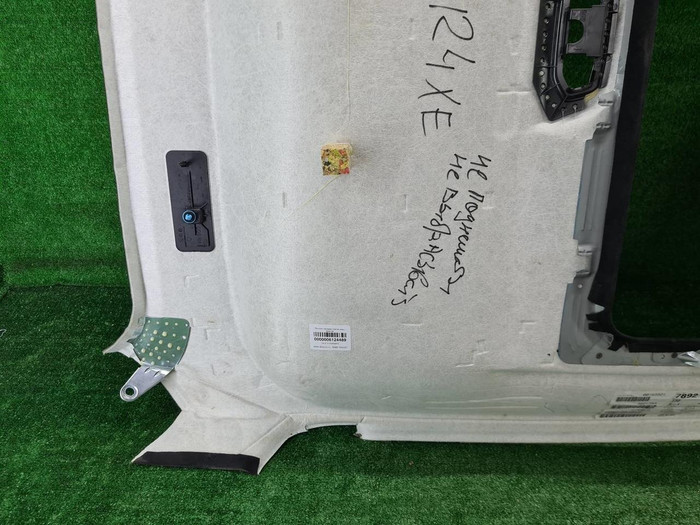 Обшивка потолка BMW X6 G06 (2019-н.в.)