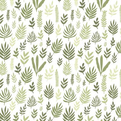 Зеленые листья на белом фоне