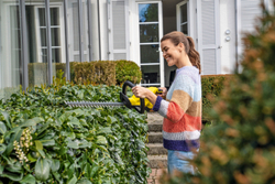 Аккумуляторный кусторез HGE 18-45 Battery