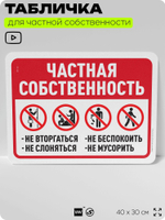 Табличка для частной территории "Частная собственность", на дом, для участка, организаций, предупреждающая, 40х30 см, Silver Plane x Айдентика Технолоджи