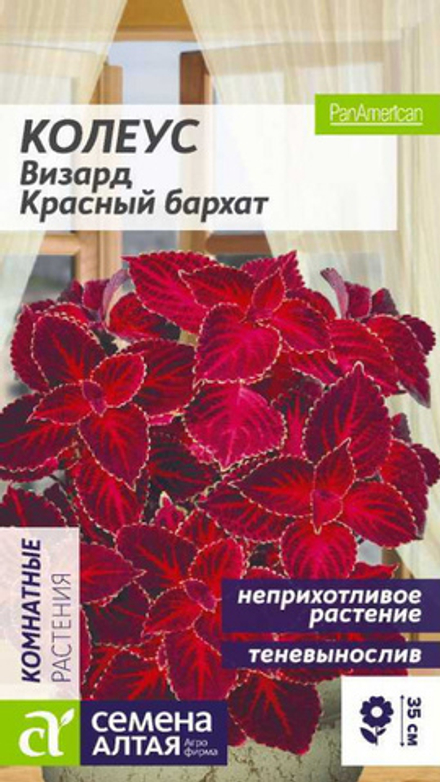 Колеус "G. Визард Красный бархат" 5шт., Россия.