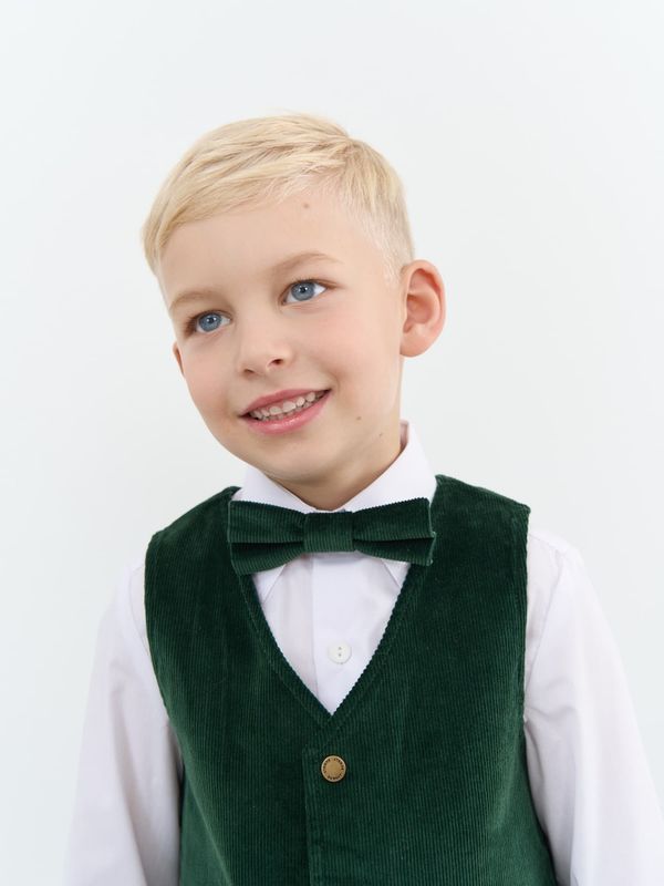 Галстук-бабочка 