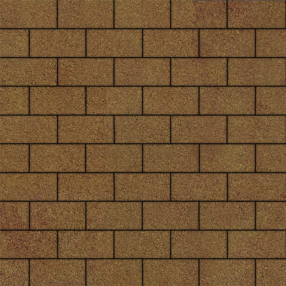 Тротуарная плитка ПРЯМОУГОЛЬНИК 200x100 мм - Листопад гранит Сахара