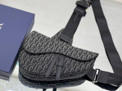 Christian Dior Saddle 26 cm