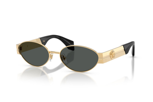 Versace 2301