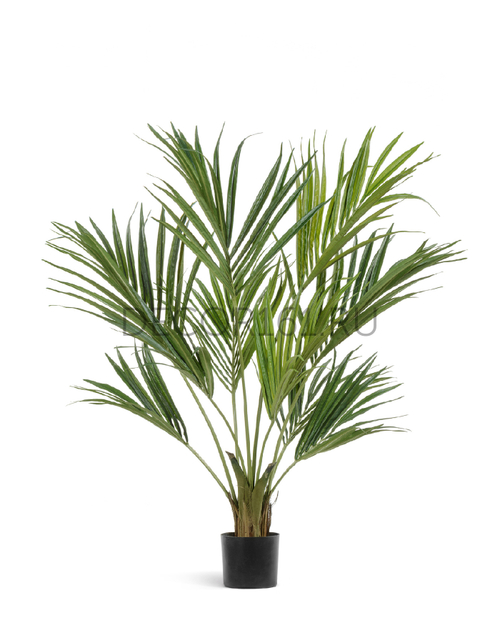 Пальма Кентия (Ховея) де Люкс в-140 см 2/2 10.1342XL