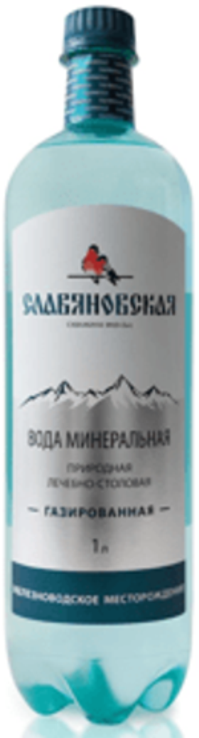 Славяновская 1/6 ПЭТ ГАЗ