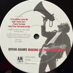 Bryan Adams - Waking Up The Neighbours 2LP (Голландия 1991г.)