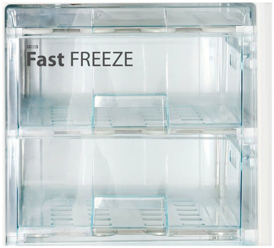 Холодильник Snaige RF56SG-P500260 (D91Z1C5SN1X)