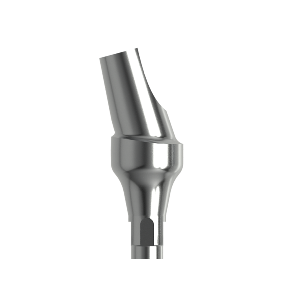 Абатменты STRAUMANN BONE LEVEL титановые угловые 15°