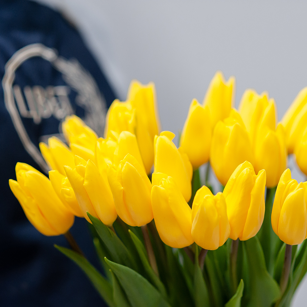 Желтые тюльпаны под ленту