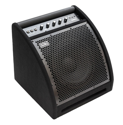 Монитор для электронной ударной установки, 50Вт, Soundking DS50