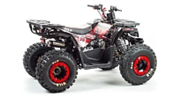 Квадроцикл PROMAX WILD 175