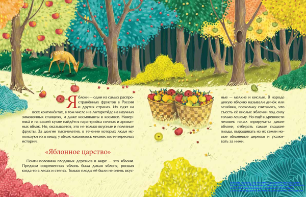 Эх, яблочко! Неизвестные истории известного фрукта