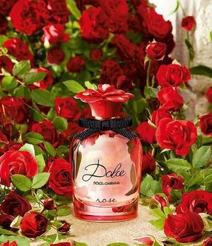 Dolce and Gabbana Dolce Rose