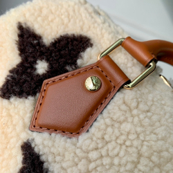 Louis Vuitton Speedy 25