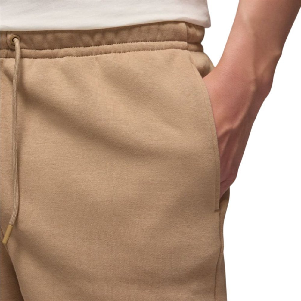 Баскетбольные шорты Jordan Brooklyn Fleece Shorts Brown