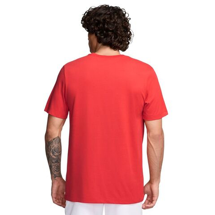 Мужская теннисная футболка Nike Court Dri-FIT Logo - малиновый