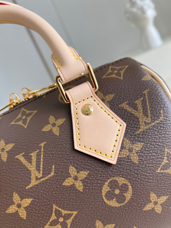 Louis Vuitton Speedy 20