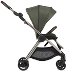 Детская коляска Anex IQ Premium 2 в 1 richi