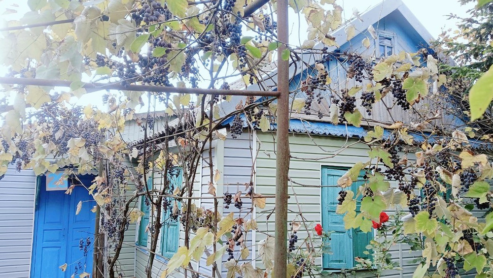 Жилой дом в п.Первомайский, Красноармейского района