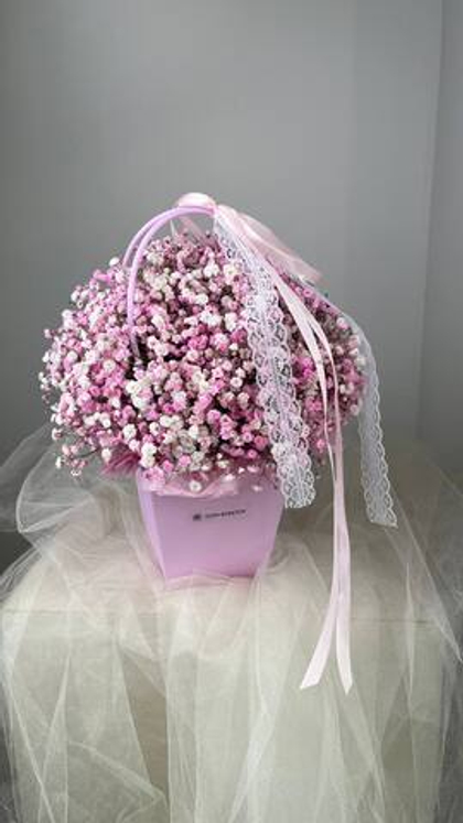 Розовые гипсофилы