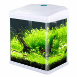 Barbus Аквариум (Led + top Filtr) Белый 9л